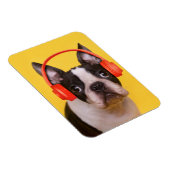 最も可愛い赤ん坊の動物 | Boston Terrier Headphones マグネット (右側)