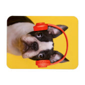 最も可愛い赤ん坊の動物 | Boston Terrier Headphones マグネット (横)