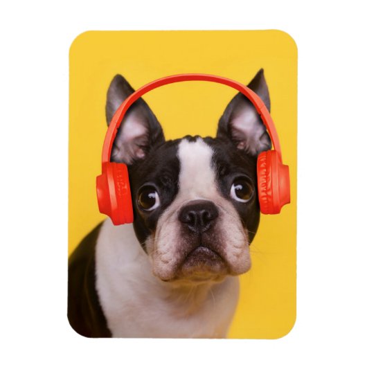最も可愛い赤ん坊の動物 | Boston Terrier Headphones マグネット (縦)