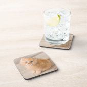 最も可愛い赤ん坊の動物 | British Longhair Kiten コースター (右側)
