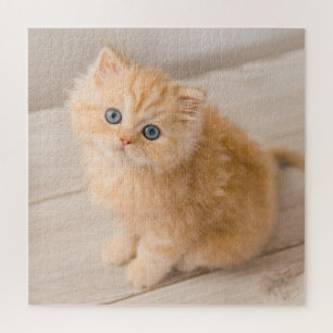 最も可愛い赤ん坊の動物 British Longhair Kiten ジグソーパズル