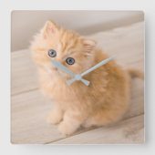 最も可愛い赤ん坊の動物 | British Longhair Kiten スクエア壁時計 (正面)