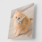 最も可愛い赤ん坊の動物 | British Longhair Kiten スクエア壁時計 (傾斜)