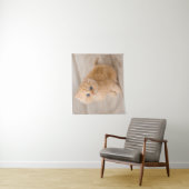 最も可愛い赤ん坊の動物 | British Longhair Kiten タペストリー (インサイチュ)