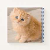 最も可愛い赤ん坊の動物 | British Longhair Kiten ノートブック (裏面)