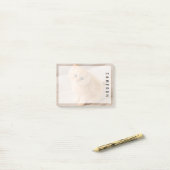 最も可愛い赤ん坊の動物 | British Longhair Kiten ポストイット (デスク上)