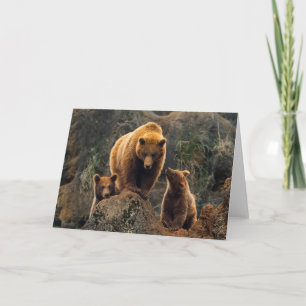 最も可愛い赤ん坊の動物 Brown Bearファミリー カード