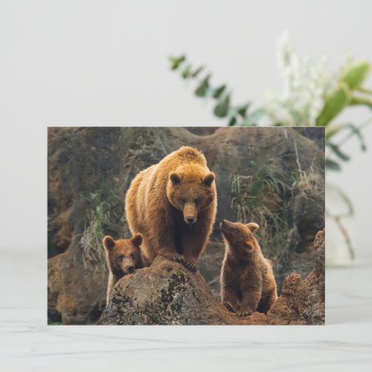 最も可愛い赤ん坊の動物 | Brown Bearファミリー サンキューカード (スタンド正面)