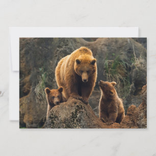 最も可愛い赤ん坊の動物 Brown Bearファミリー サンキューカード