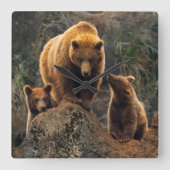 最も可愛い赤ん坊の動物 | Brown Bearファミリー スクエア壁時計 (正面)