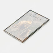 最も可愛い赤ん坊の動物 | Brown Bearファミリー ポストイット (アングル)