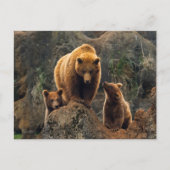 最も可愛い赤ん坊の動物 | Brown Bearファミリー ポストカード (正面)