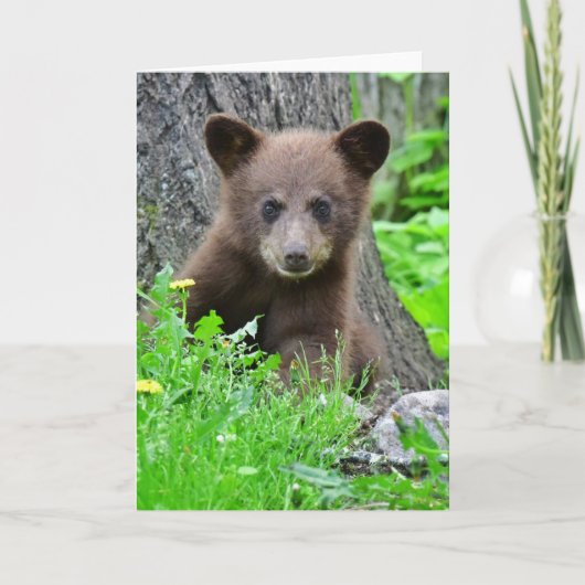 最も可愛い赤ん坊の動物 | Brown Bear Cub カード (正面)