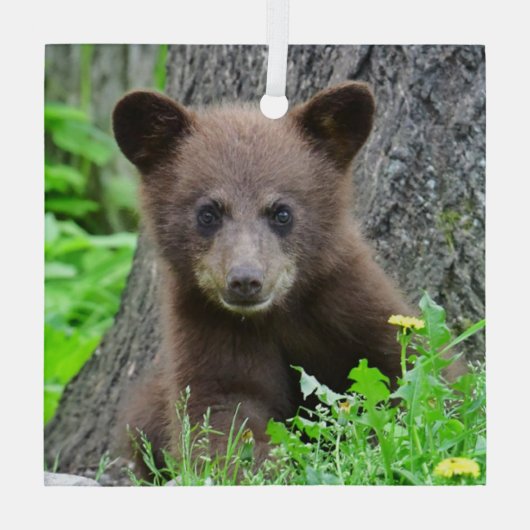 最も可愛い赤ん坊の動物 | Brown Bear Cub ガラスオーナメント (裏面)