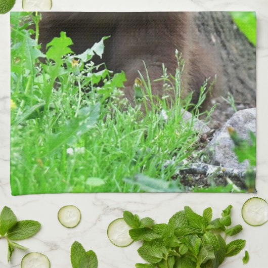 最も可愛い赤ん坊の動物 | Brown Bear Cub キッチンタオル (折り畳み)