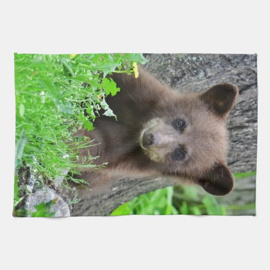 最も可愛い赤ん坊の動物 | Brown Bear Cub キッチンタオル (横)