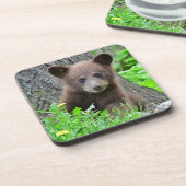 最も可愛い赤ん坊の動物 | Brown Bear Cub コースター (左側)