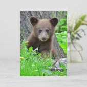 最も可愛い赤ん坊の動物 | Brown Bear Cub サンキューカード (スタンド正面)