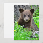最も可愛い赤ん坊の動物 | Brown Bear Cub サンキューカード (正面/裏面)