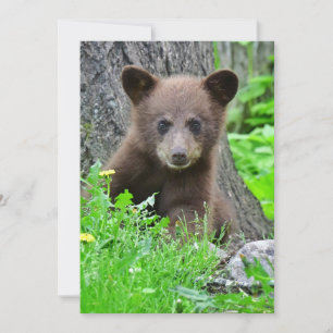 最も可愛い赤ん坊の動物 Brown Bear Cub サンキューカード