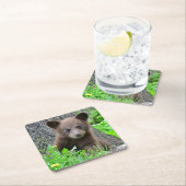 最も可愛い赤ん坊の動物 | Brown Bear Cub スクエアペーパーコースター (インサイチュ)