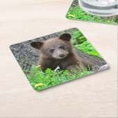 最も可愛い赤ん坊の動物 | Brown Bear Cub スクエアペーパーコースター (アングル)