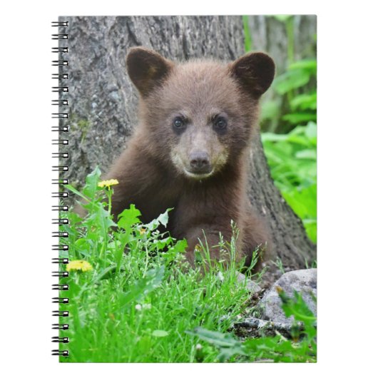 最も可愛い赤ん坊の動物 | Brown Bear Cub ノートブック (正面)