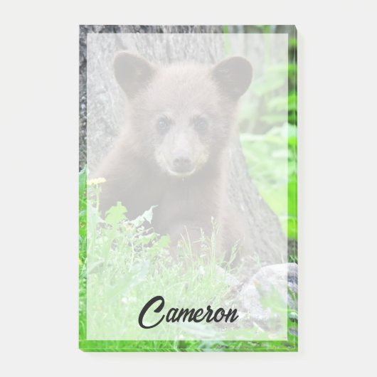 最も可愛い赤ん坊の動物 | Brown Bear Cub ポストイット (正面)