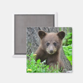 最も可愛い赤ん坊の動物 | Brown Bear Cub マグネット (正面/裏面)