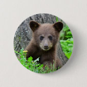 最も可愛い赤ん坊の動物 | Brown Bear Cub 缶バッジ (正面)