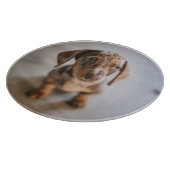 最も可愛い赤ん坊の動物 | Brown Dachshund Puppy カッティングボード (角)