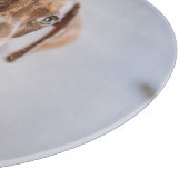 最も可愛い赤ん坊の動物 | Brown Dachshund Puppy カッティングボード (角)