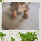 最も可愛い赤ん坊の動物 | Brown Dachshund Puppy キッチンタオル (折り畳み)