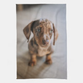 最も可愛い赤ん坊の動物 | Brown Dachshund Puppy キッチンタオル (縦)