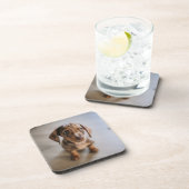 最も可愛い赤ん坊の動物 | Brown Dachshund Puppy コースター (右側)