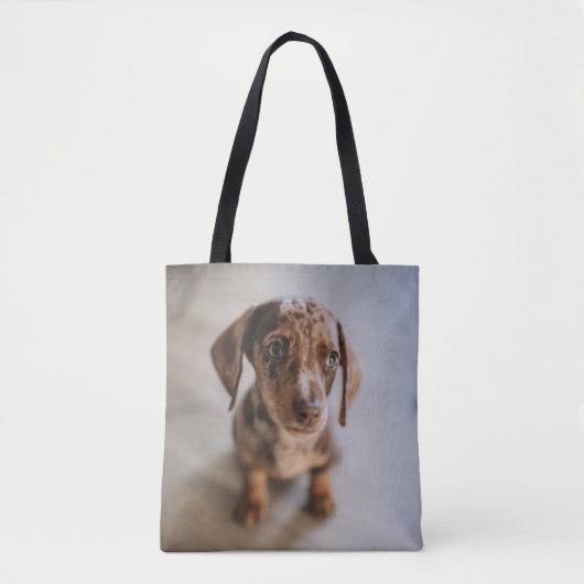 最も可愛い赤ん坊の動物 | Brown Dachshund Puppy トートバッグ (正面)