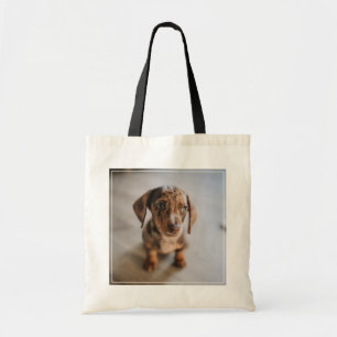 最も可愛い赤ん坊の動物 Brown Dachshund Puppy トートバッグ