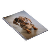 最も可愛い赤ん坊の動物 | Brown Dachshund Puppy ノートブック (右側)