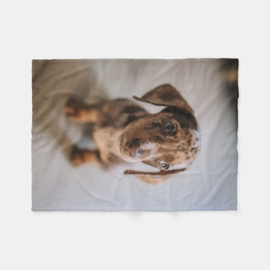 最も可愛い赤ん坊の動物 | Brown Dachshund Puppy フリースブランケット (正面(横))