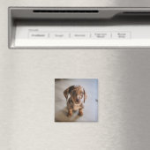 最も可愛い赤ん坊の動物 | Brown Dachshund Puppy マグネット (インサイチュ (食洗機))