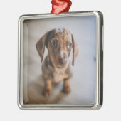 最も可愛い赤ん坊の動物 | Brown Dachshund Puppy メタルオーナメント (左)