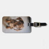 最も可愛い赤ん坊の動物 | Brown Dachshund Puppy ラゲッジタグ (正面横)