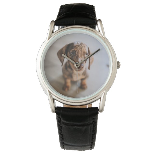 最も可愛い赤ん坊の動物 | Brown Dachshund Puppy 腕時計 (正面)
