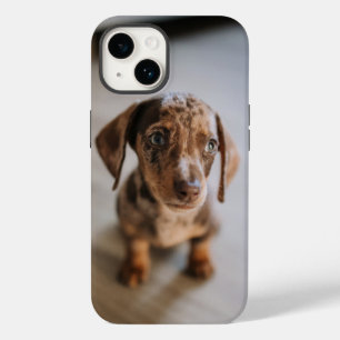 最も可愛い赤ん坊の動物 Brown Dachshund Puppy Case-Mate iPhone 14ケース