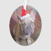 最も可愛い赤ん坊の動物 | Bulldog フランスの Christmas オーナメント (正面)