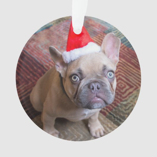 最も可愛い赤ん坊の動物 | Bulldog フランスの Christmas オーナメント (正面)