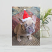 最も可愛い赤ん坊の動物 | Bulldog フランスの Christmas サンキューカード (スタンド正面)