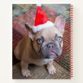 最も可愛い赤ん坊の動物 | Bulldog フランスの Christmas ノートブック (裏面)