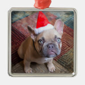 最も可愛い赤ん坊の動物 | Bulldog フランスの Christmas メタルオーナメント (正面)