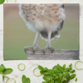 最も可愛い赤ん坊の動物 | Burroing Owlet キッチンタオル (折り畳み)